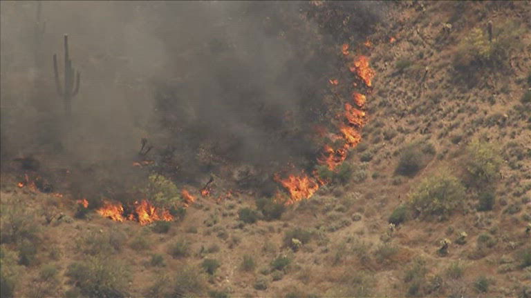 Cave Creek Fire