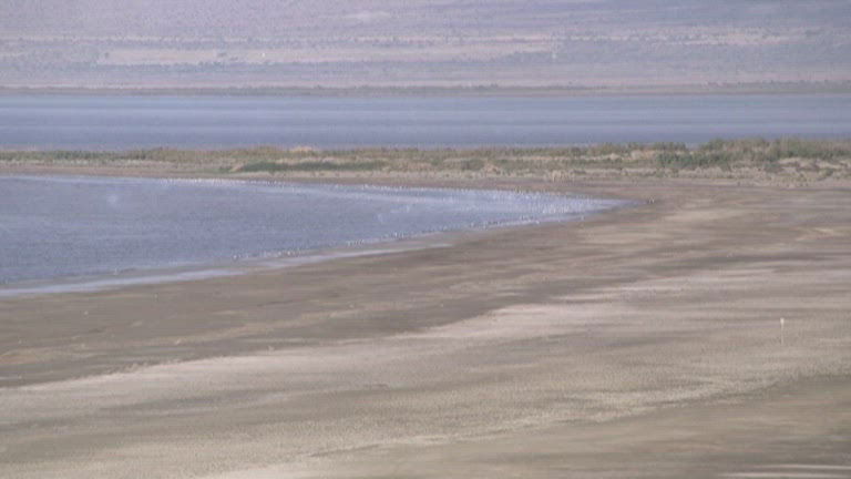 Salton Sea 2