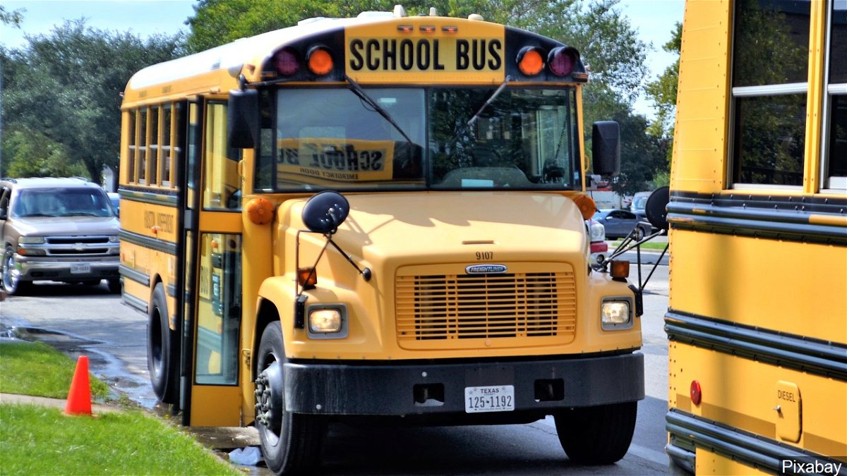 Школьный автобус в Америке. Американский желтый школьный автобус. Школа Америка автобус. Школьный автобус в Англии. Школьный автобус характеристики
