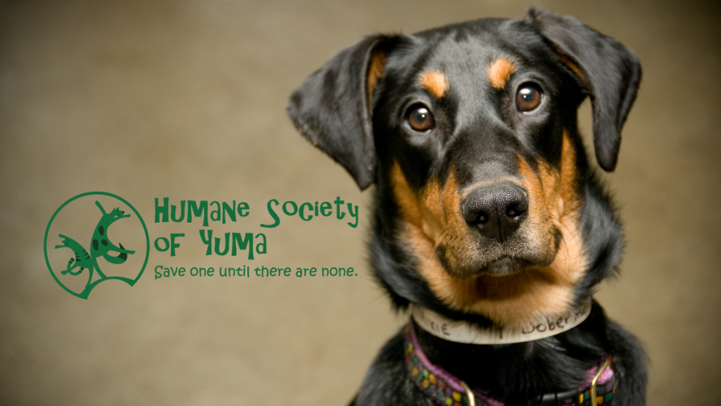 The Humane Society Of Yuma  