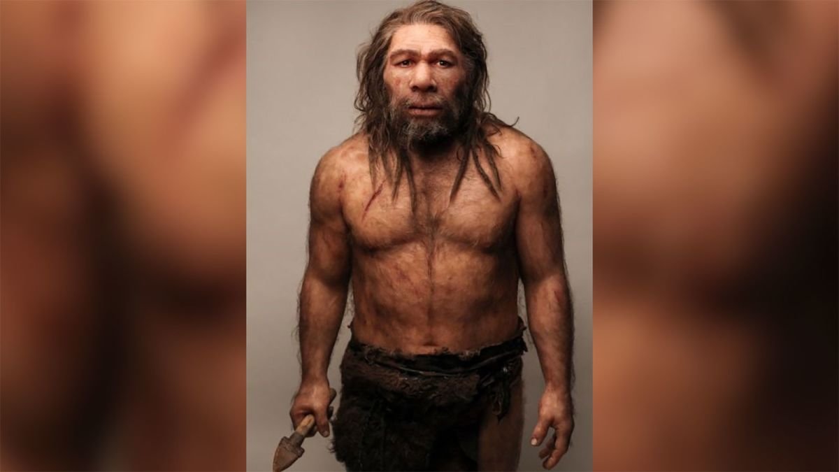 Interactions Between Early Modern Humans And Neanderthals Were A Lot More Common Than We Thought Kyma