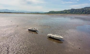 Multiple people had to be rescued after two boats became stuck on mud in Tillamook Bay over the weekend.