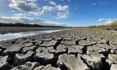 How drought is playing out in Tule Lake National Wildlife Refuge in Northern California.