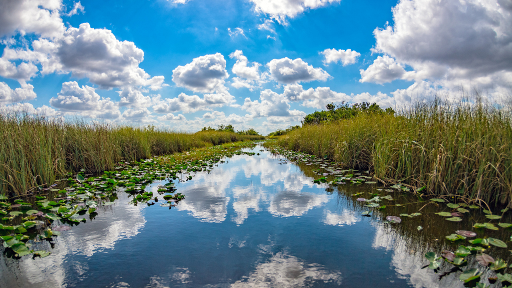 The Florida Wildlife Corridor is nearly 18 million acres of natural ...