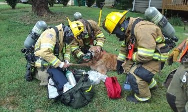 Gwinnett County firefighters rescued a family's golden retriever after their home caught fire Thursday.