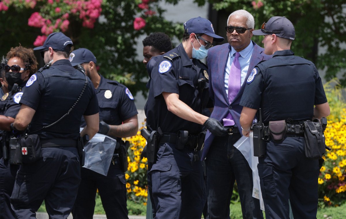 <i>Alex Wong/Getty Images</i><br/>Rep. Hank Johnson of Georgia is arrested by US Capitol Police during a protest outside Hart Senate Office Building on July 22.