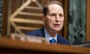 Democratic Sen. Ron Wyden of Oregon will not advance President Joe Biden's pick to lead US Customs and Border Protection until he receives more answers about the agency's role in the Portland unrest last year.