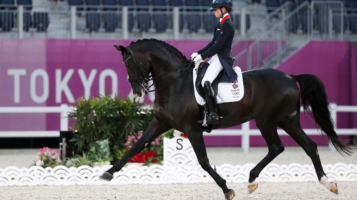 A horse and rider ride in an arena