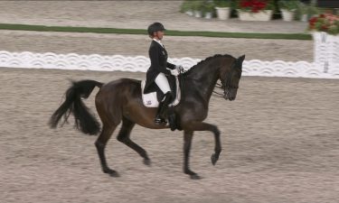 A rider and horse ride a dressage test in an arena