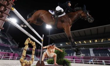 Sumo-themed equestrian fence