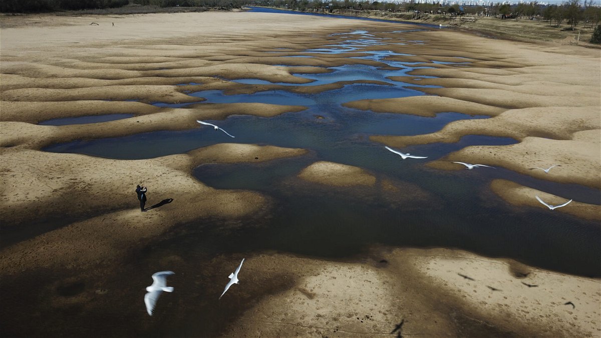 <i>Victor Caivano/AP</i><br/>Birds fly over the exposed riverbed of the Old Parana River during a drought in Rosario
