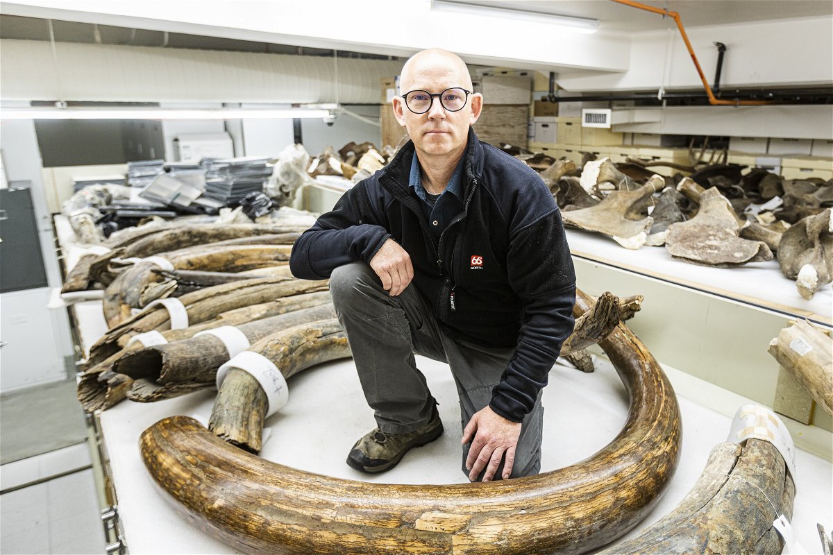 <i>JR Ancheta/University of Alaska Fairbanks</i><br/>Matthew Wooller of the University of Alaska Fairbanks kneels among a collection of some of the mammoth tusks at the University of Alaska Museum of the North.