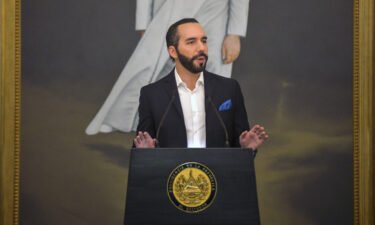 El Salvador became the first country to adopt bitcoin as a national currency on Tuesday. Pictured is President of El Salvador Nayib Bukele on May 25