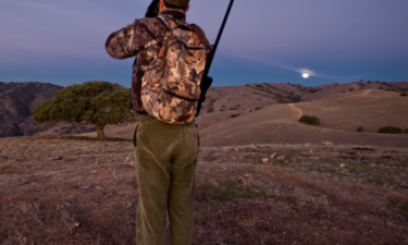 California is the #1 state with the fewest registered hunters