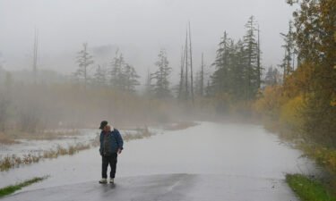 A man walking near a road that was closed in Washington due to high water in the latest atmospheric river event.