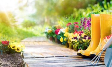 How to prepare your garden for next season