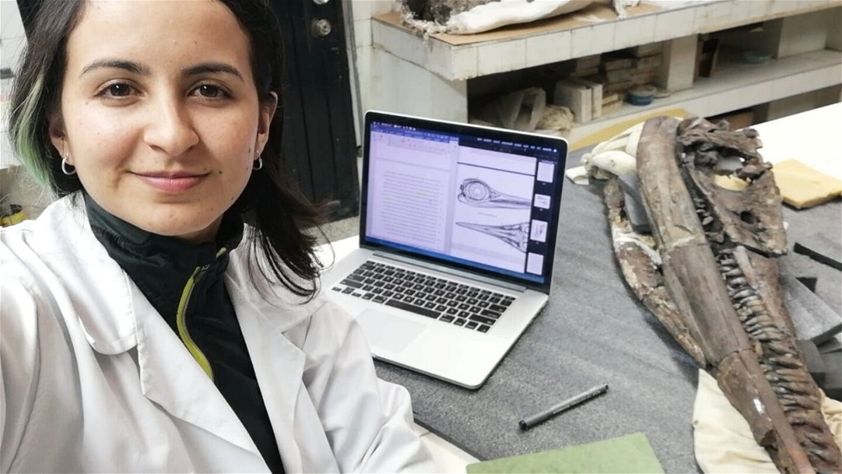 <i>Dirley Cortés</i><br/>Doctoral candidate Dirley Cortés analyzed the ichthyosaur's skull to determine it was incorrectly classified.