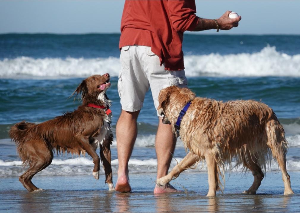 Think you're overpaying at the vet? See how much it costs to vaccinate your dog in San Diego