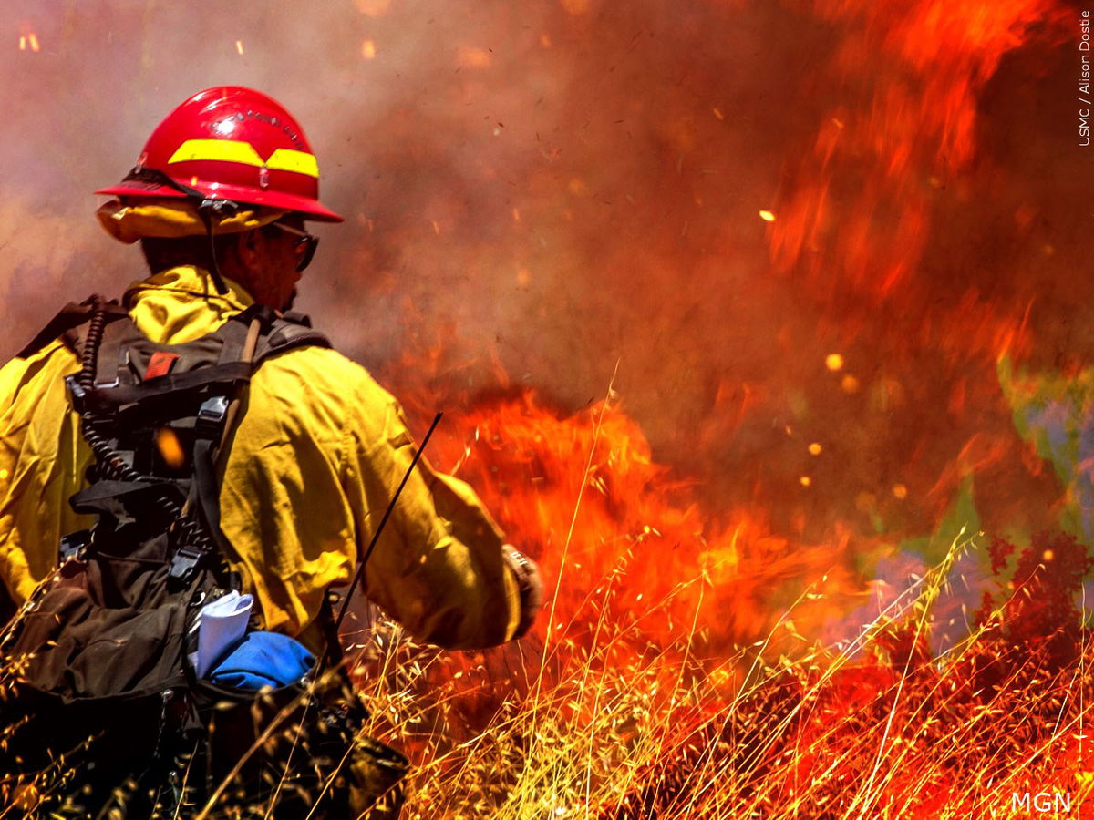 Sinema and Kelly shape  Million Investment for Arizona Wildfire Prevention – KYMA