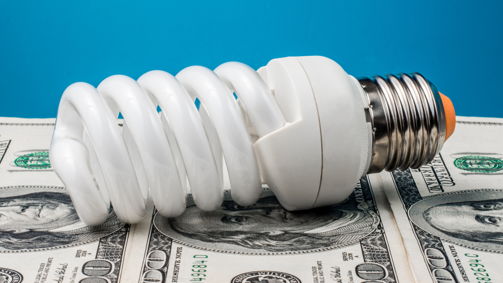 Saving Money on Your Outdoor Power Bill During Christmas - Eau Gallie  Electric
