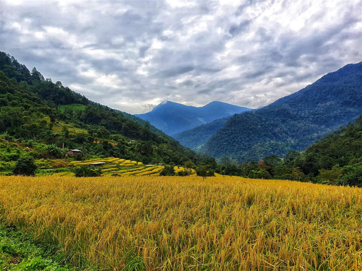<i>Trans Bhutan Trail</i><br/>Visiting the Land of the Thunder Dragon can be challenging