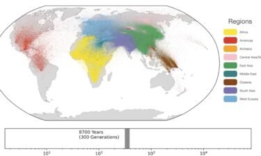 A still from a video published by the study authors shows the estimated geographic locations of human ancestors.