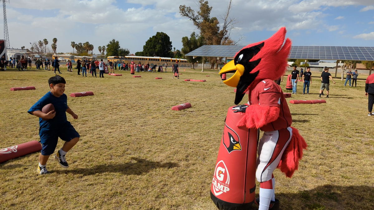 Arizona Cardinals Mascot Big Red playing softball.