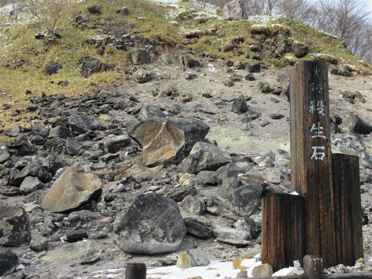 <i>Ministry of the Environment</i><br/>A killing stone cracked in half in Nikko National Park
