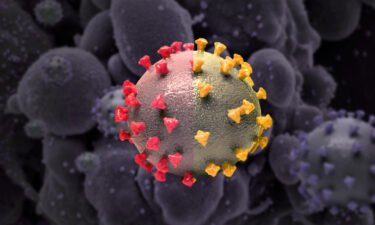 How the next coronavirus variant could emerge.