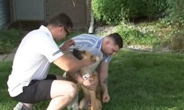 A New Jersey man and his roommate's puppy are recovering after being attacked by a neighborhood dog.