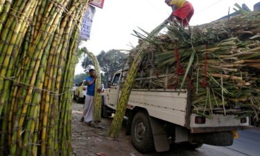 India has decided to restrict the sale of sugar on international markets