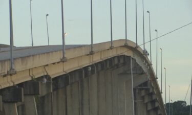 A man jumped off the Dog River Bridge Friday afternoon and died