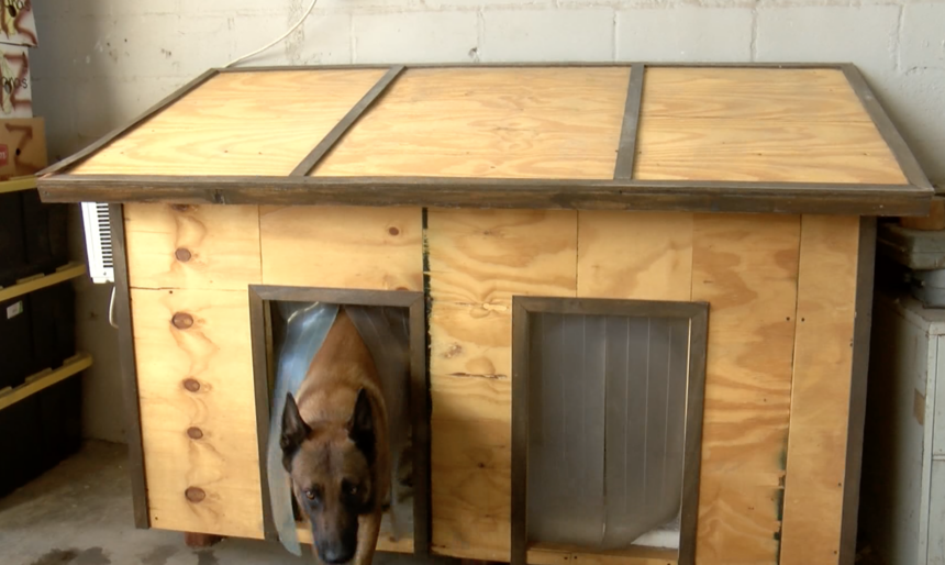Casas de madera para perros - Madera y Construcción