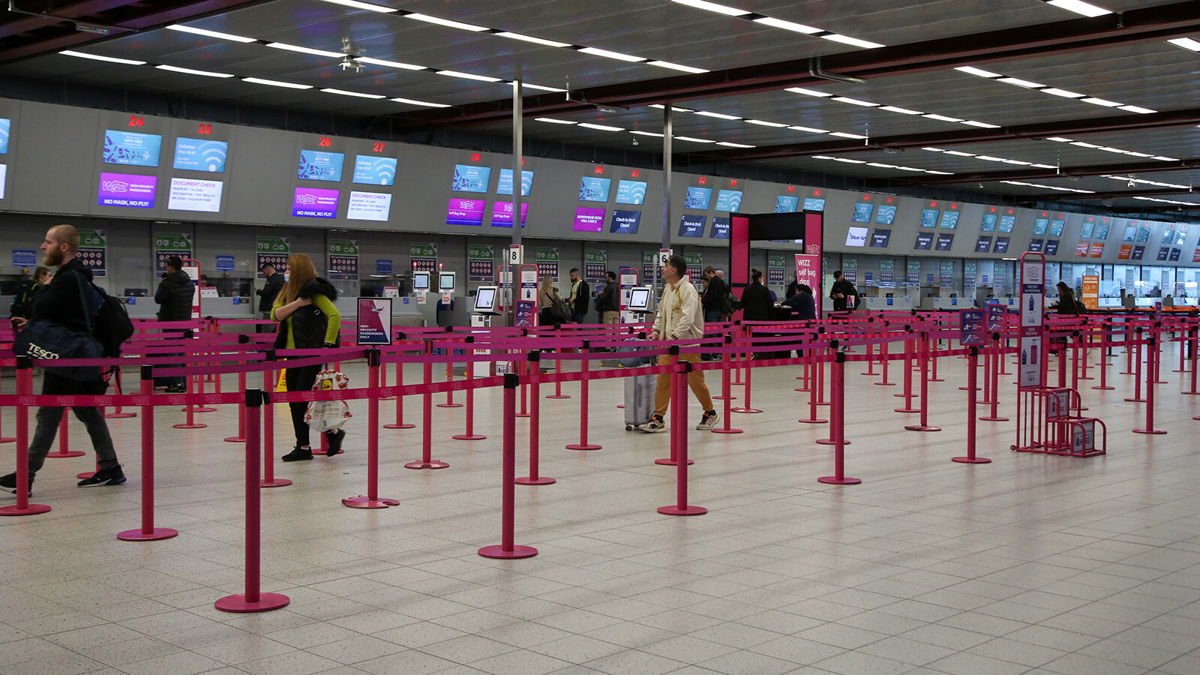 are dogs allowed in luton airport