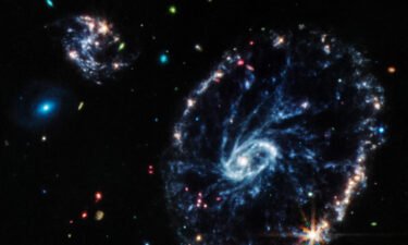 This image from Webb's Mid-Infrared Instrument shows the structure of the Cartwheel galaxy.