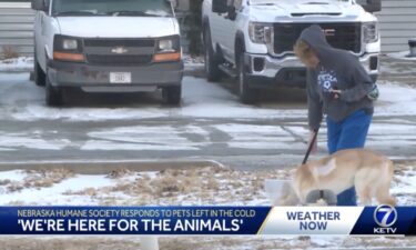 Freezing temperatures can be hazardous to animals and pets the same way it is to humans. Animal Control at the Nebraska Humane Society works hard to protect all animals while also looking out for the officers on the job.