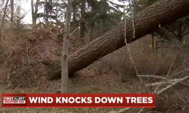 Heavy winds are toppling trees across the Portland metro area as the holiday weekend approaches. From Sandy to Gresham and Beaverton to Clackamas. In Tigard