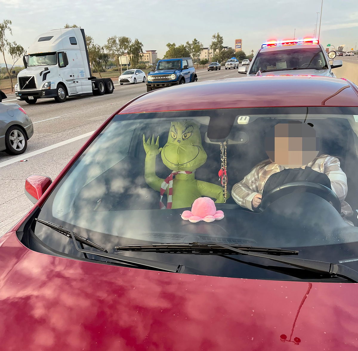 <i>Arizona Department of Public Safety</i><br/>The Arizona Department of Public Safety says it ticketed a driver for driving in the high-occupancy vehicle lane because his passenger was an inflatable Grinch.