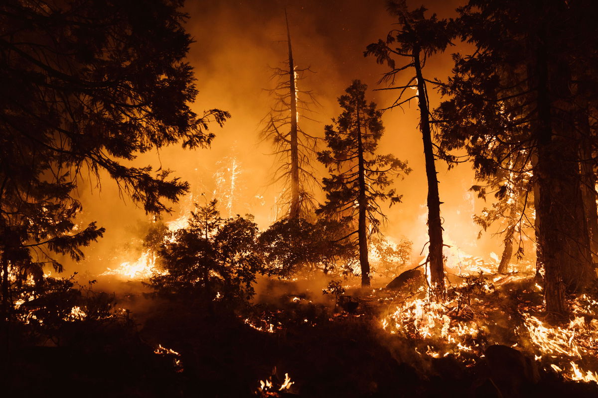 <i>Eric Thayer/Getty Images</i><br/>The climate crisis is among the key factors in a new assessment that shows more than 85% of California’s rural and unincorporated land is now in “high” or “very high” severity zones for wildfire danger