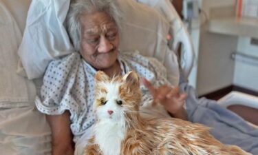 Robotic therapy pets make sounds