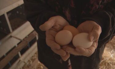 A Las Vegas egg producer talks about sky-high egg prices.