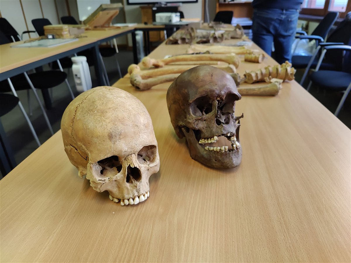 Two skulls were among the human remains discovered in the Belgian attic. They displayed signs of extreme violence.
