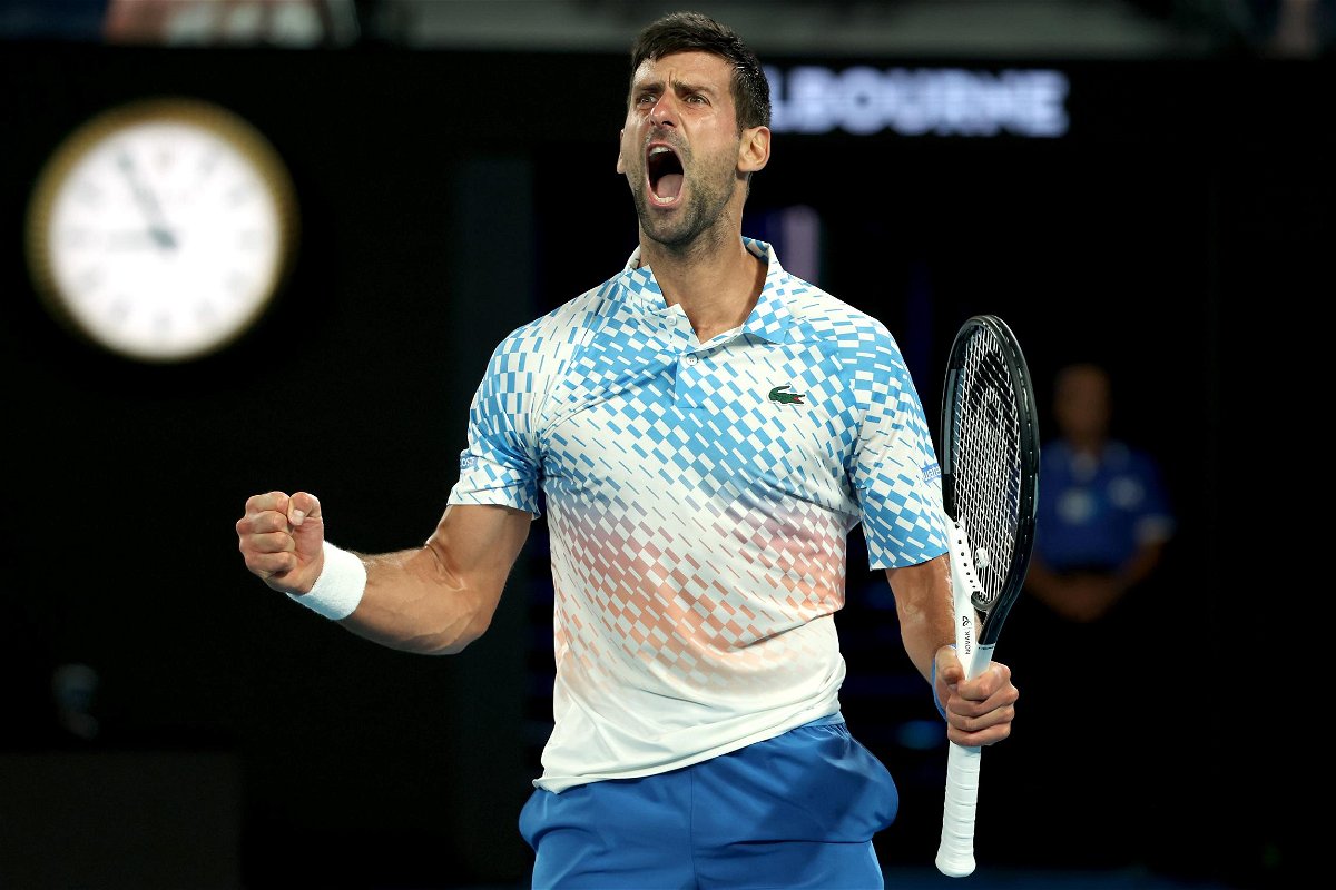 Novak Djokovic cruised past Andrey Rublev to reach the Australian Open semifinals.