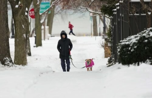 A woman takes a walk with her dog on a snow-covered sidewalk Sunday in Evanston