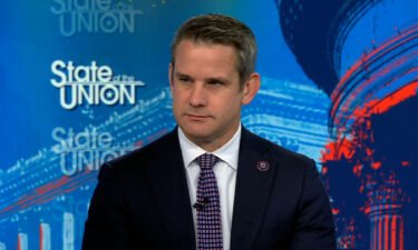 Outgoing Republican Rep. Adam Kinzinger said Sunday he fears for the future of the country if former President Donald Trump isn't charged with a crime related to the January 6
