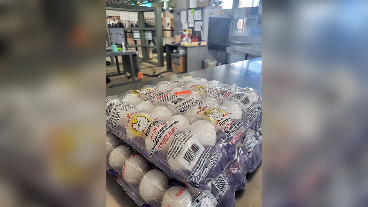 An image from Customs and Border Protection shows eggs that a traveler attempted to bring into the United States on January 18 at the Paso Del Norte internal crossing in El Paso