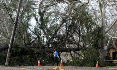 A downed tree blocks H Street in Sacramento