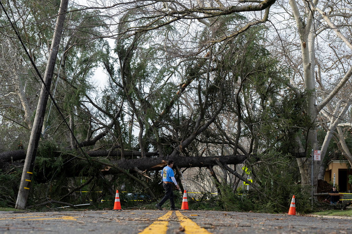 <i>Sara Nevis/AP</i><br/>A downed tree blocks H Street in Sacramento