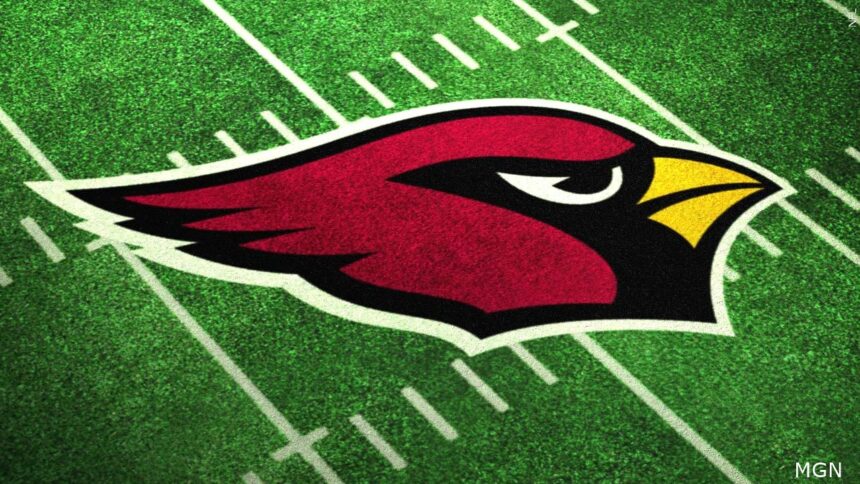 Former Arizona Cardinals coach Vince Tobin has died at 79 - KYMA