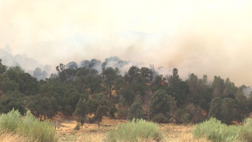 Borel Fire burns more than 38,000 acres, assessments ongoing - KYMA